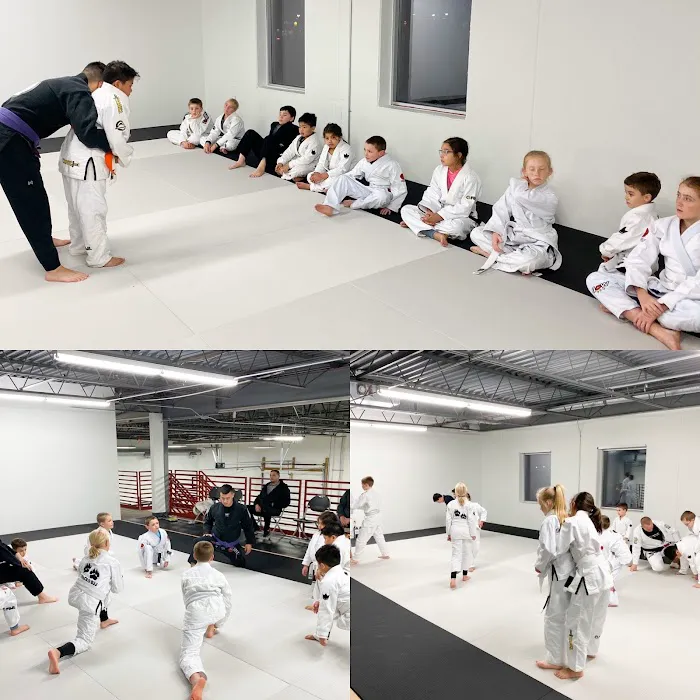 Prodigy Martial Arts Picture 2