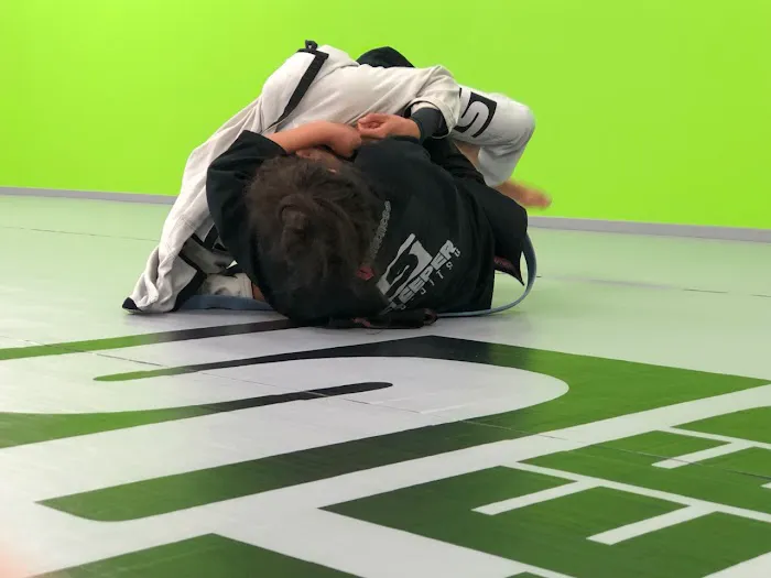 Sleeper Jiu Jitsu Picture 3