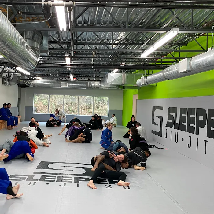 Sleeper Jiu Jitsu Picture 10
