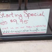 Dragon Star Kung Fu ico