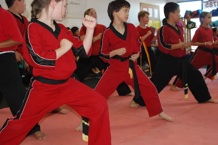 Dragon Star Kung Fu Picture 5