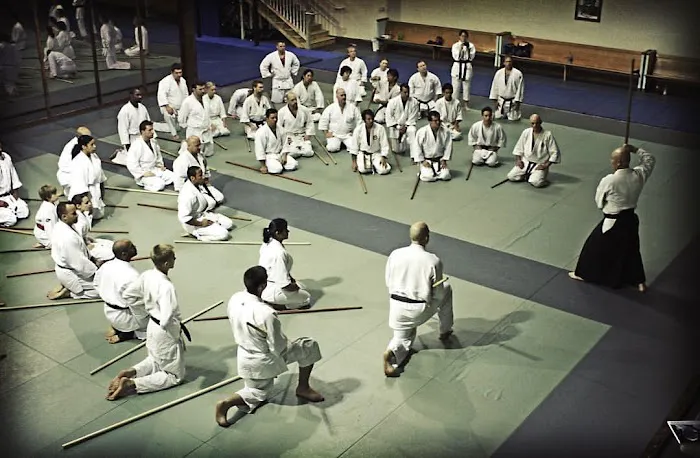 Martial Arts Picture 4
