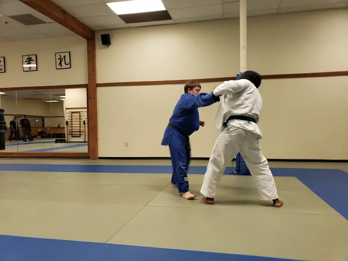 Martial Arts Picture 8
