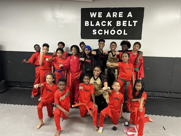 Atlanta Martial Arts Academy Picture 1