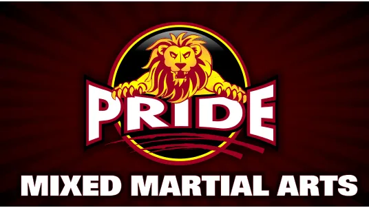 Pride Mixed Martial Arts Picture 3