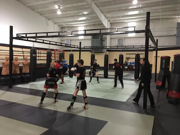 Pride Mixed Martial Arts Picture 1