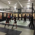 Pride Mixed Martial Arts