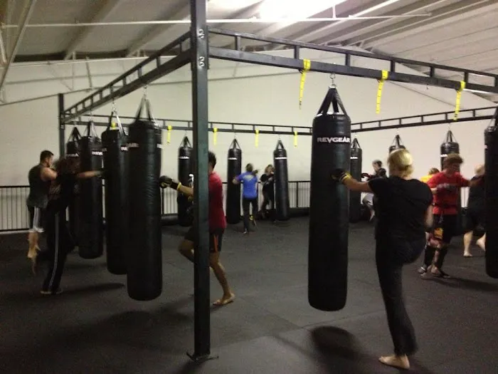 Pride Mixed Martial Arts Picture 6