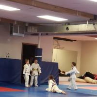 Martial Arts Academy ico