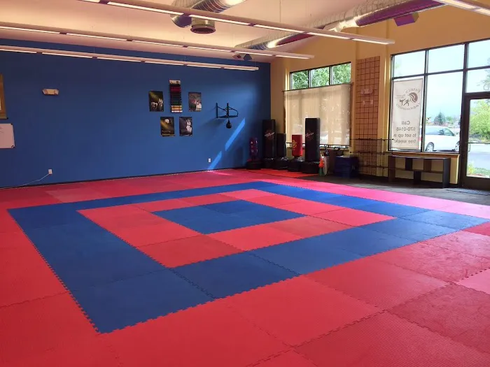 Rock Solid Martial Arts Picture 9