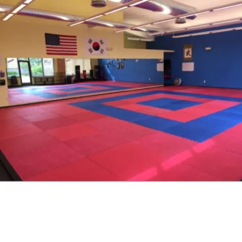 Rock Solid Martial Arts Picture 6