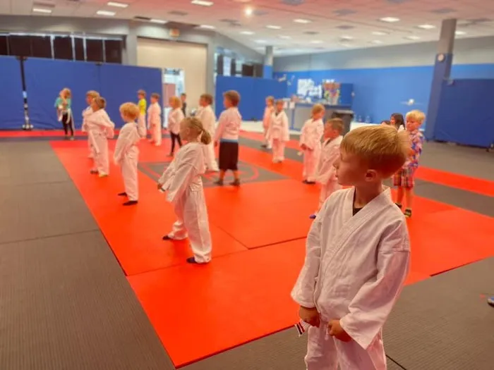 Good Martial Arts Picture 5