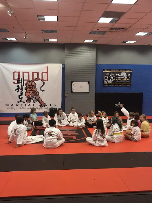 Good Martial Arts Picture 4