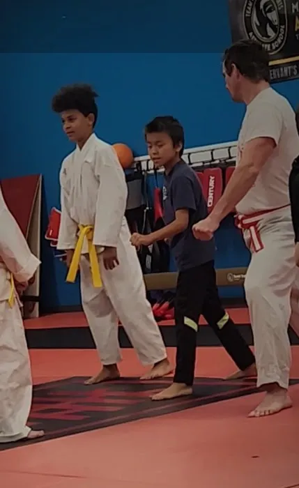 Good Martial Arts Picture 2