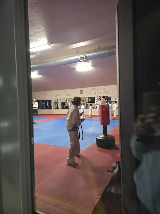 Williston Taekwondo-Judo Academy Picture 1