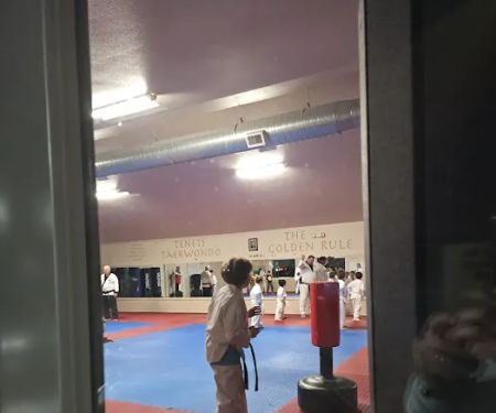 Williston Taekwondo-Judo Academy