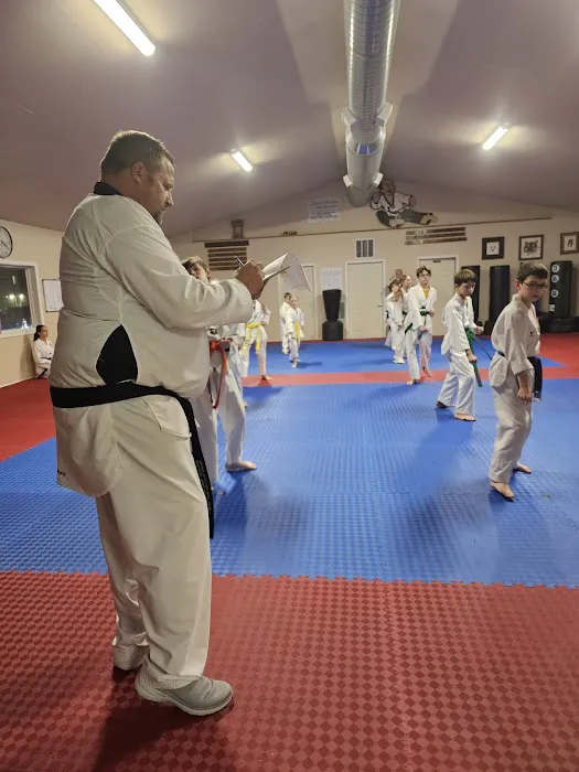 Williston Taekwondo-Judo Academy Picture 4