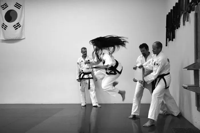 Kim's Tae Kwon-Do School Picture 4