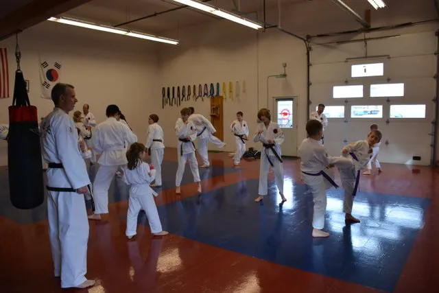 Kim's Tae Kwon-Do School Picture 2