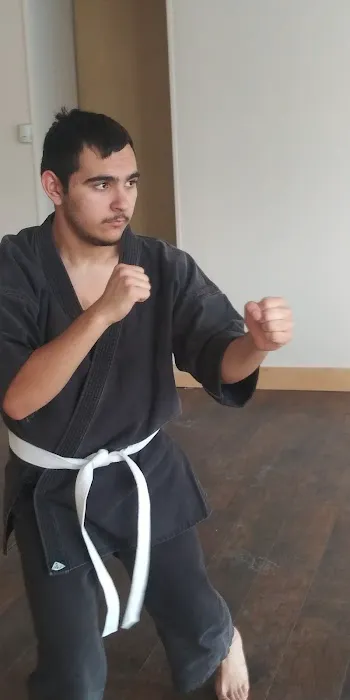 Big Sky Dojo - Chinese Kara-Ho Kempo Karate Picture 5