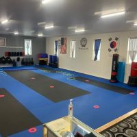 Great Falls Tang Soo Do ico