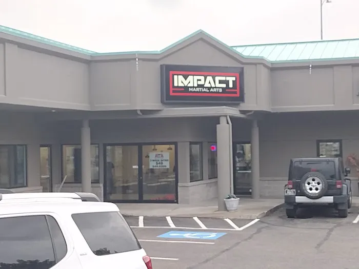 Impact Martial Arts of Missoula Picture 1
