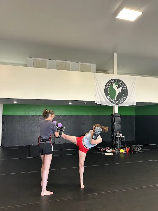 Gallatin Valley Martial Arts Picture 4
