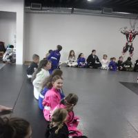 Olsen Behring Vale Tudo MMA ico