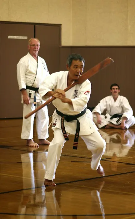 Bozeman Karate Picture 9
