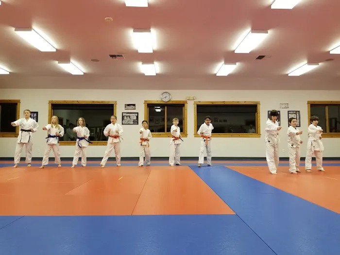 Bozeman Karate Picture 7