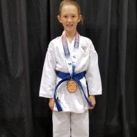 Bozeman Karate ico