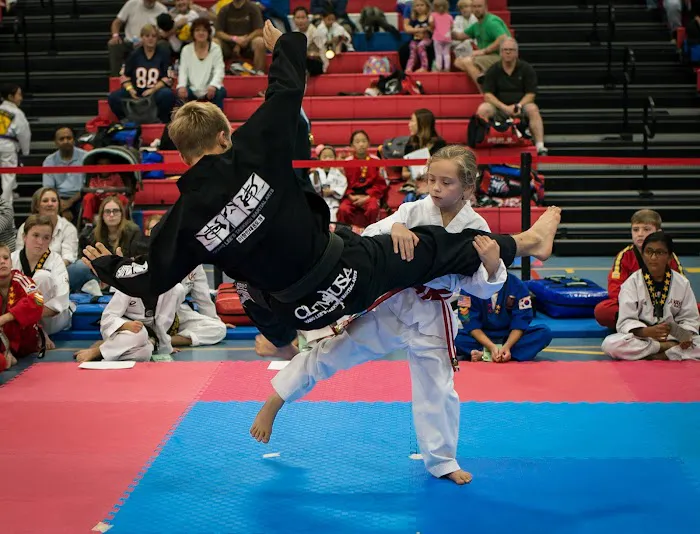 Changleetaekwonmartialart(Lee FamilyMartialArts LFM)) Picture 1