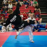 Changleetaekwonmartialart(Lee FamilyMartialArts LFM))