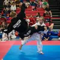 Changleetaekwonmartialart(Lee FamilyMartialArts LFM)) ico