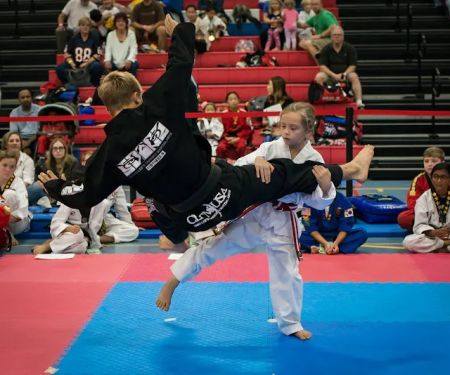 Changleetaekwonmartialart(Lee FamilyMartialArts LFM))