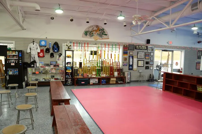 Changleetaekwonmartialart(Lee FamilyMartialArts LFM)) Picture 5