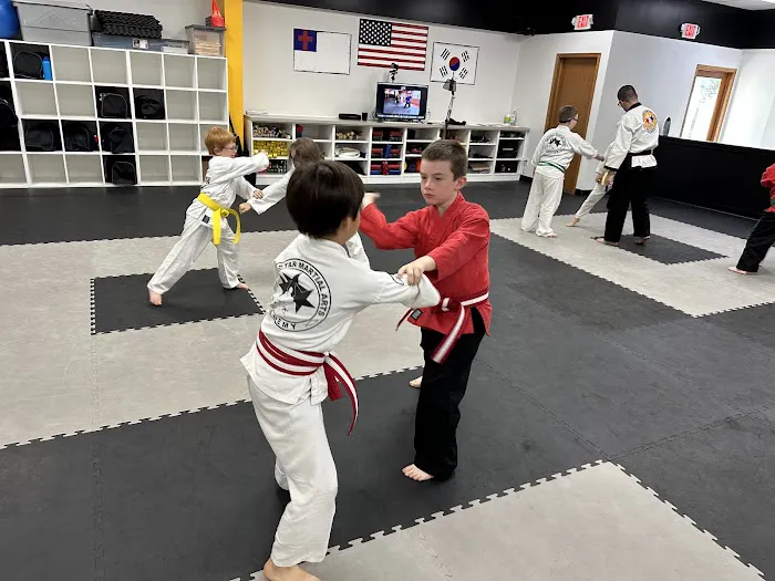 Tri-Star Martial Arts Academy - Bradley Picture 2