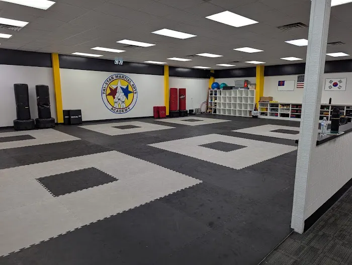 Tri-Star Martial Arts Academy - Bradley Picture 1