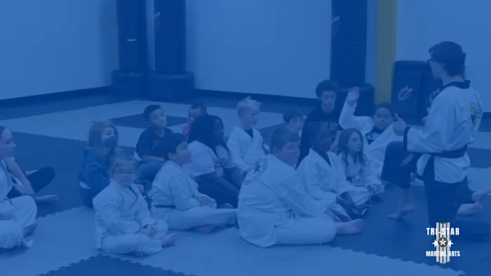 Tri-Star Martial Arts Academy - Bradley Picture 10