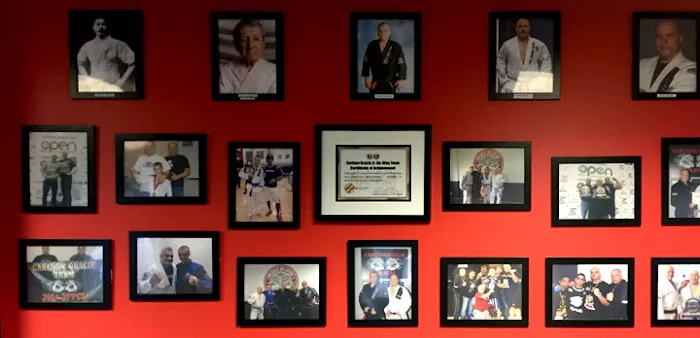 Carlson Gracie MMA - Channahon Picture 5