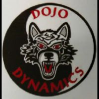 Dojo Dynamics ico