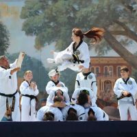 Duque Institute of Martial Arts ico