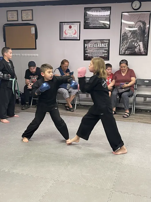 Martial Arts Academy Picture 6
