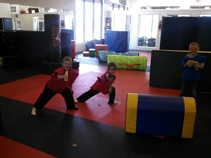 Homer Glen Karate for Kids Picture 4