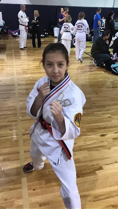 Homer Glen Karate for Kids Picture 2