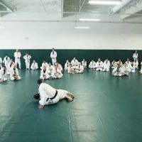 Gracie University of Jiu-Jitsu ico