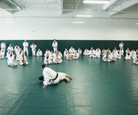 Gracie University of Jiu-Jitsu