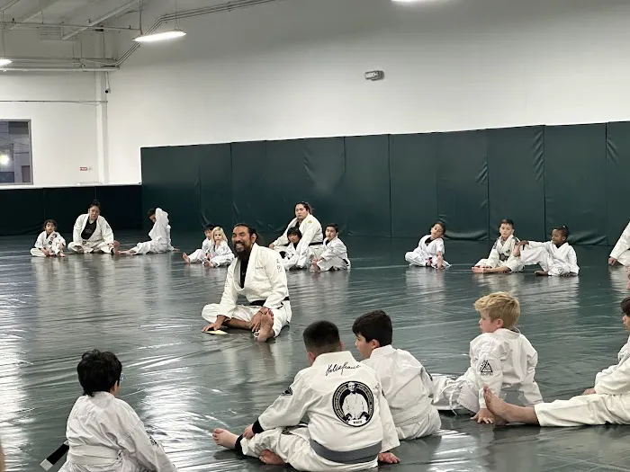 Gracie University of Jiu-Jitsu Picture 10