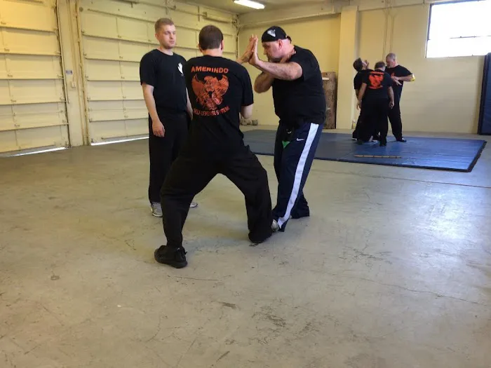 Amerindo Self-Defense Systems Picture 2