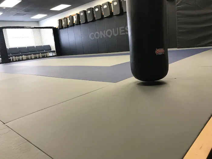 Conquest Self Defense Picture 5